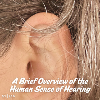 S1 I E14 A Brief Overview of the Human Sense of Hearing