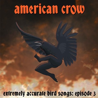 American Crow
