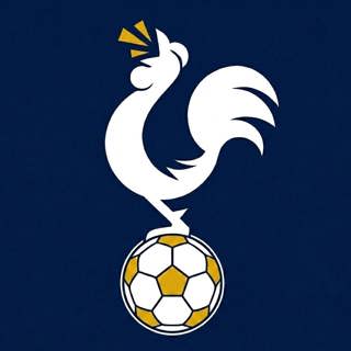 Spurs Are Down But NOT Out, They MUST Beat Brighton....