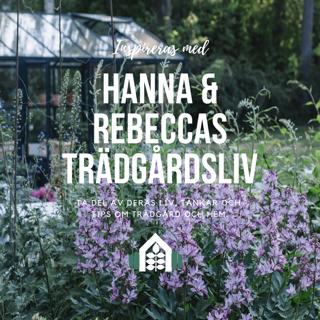 Avsnitt 88 – Perenner och maxad blomning
