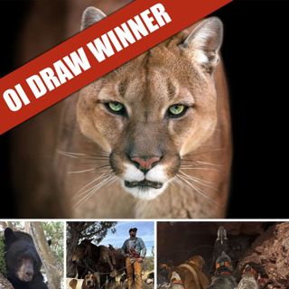 ANNOUNCEMENT: OI Draw Winner of the Arizona Mountain Lion Hunt