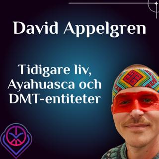 Tidigare liv, Ayahuasca och DMT-entiteter - David Appelgren