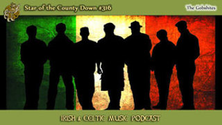 Star of the County Down #316