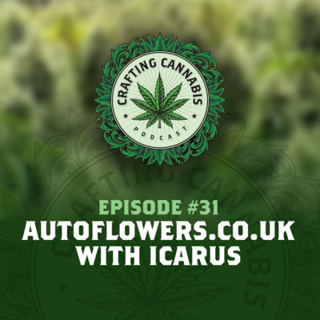 #31 - Autoflowers.co.uk with Icarus