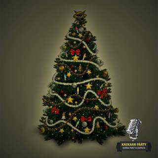 030 / Joulutodistuksia ja muuta tärkeää