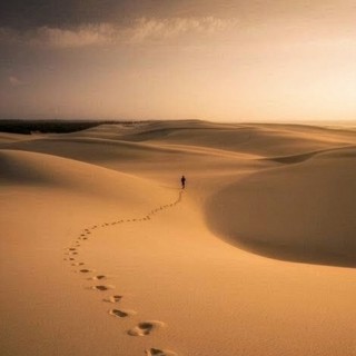 Ep. 493 - Following Pathless Paths
