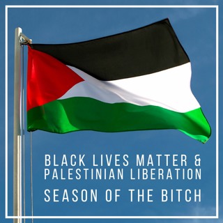 Episode 139: BLM And Palestinian Liberation