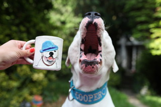 Pottery, Pets, and People | Hadley Sedgwick | Episode 316