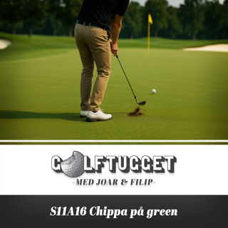 S11A16 Chippa på green?