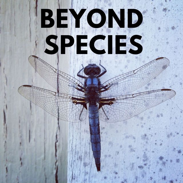 Beyond Species