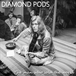 Diamond Pods: The Man Who Sold The World