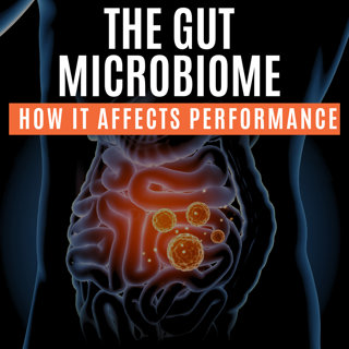 The Gut Microbiome Explained – How It Affects Performance