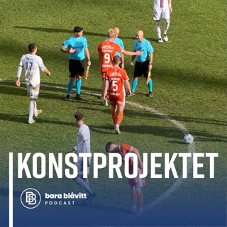 733. Konstprojektet