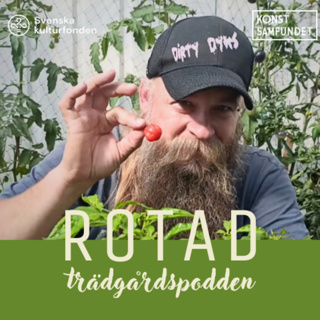 På Dyktur i chiliträsket