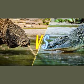 Crocs and Komodos Gone Wild