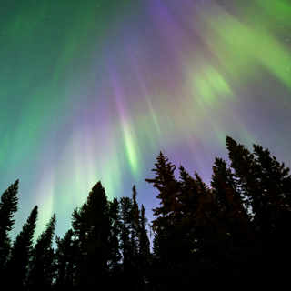 Northern Lights ~ Healing Ambient & Calming Crickets For Restorative Rest