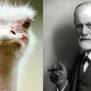 Försvarsmekanismer 4: Förnekare är vi allihopa