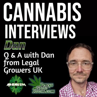 Live Q & A With Dan from Legal Growers UK. Can He Get Cannabis Legalised in the UK with his Strategy? Lets Find Out!