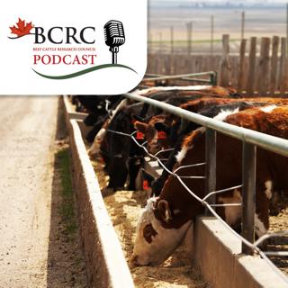 Episode 137:  Is Something Worming Its Way into Your Profits?