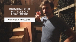 Aging the Teroldego of Agricola Foradori: with Winemaker Theo Zierock