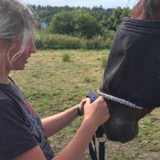 Jessica: "Jag scammade min egen mamma"