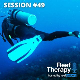 Hobbies That Complement Reefing