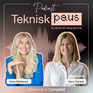 12. Sara Tranarp - Sverigechef på Mathem