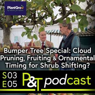 Bumper Tree Special, Cloud Pruning, Fruiting, Ornamental and Questions on Timing of Shrub Shifting and Droseras
