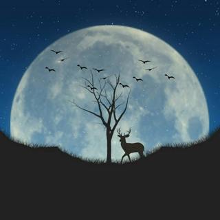 😴🎵 Soft MUSIC, a Natural Remedy for SLEEP
