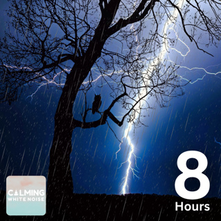 ⚡️ Rain and Thunder on a Camping Tent | Cozy Storm Sounds for Sleeping