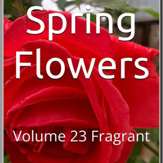 Spring Flowers Volume 23 Fragrant by Daniel Lucas