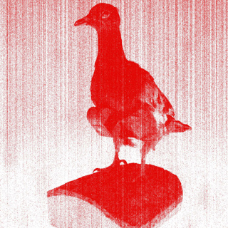 Episode 582: Bird Penetration System
