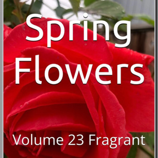 Spring Flowers Volume 23 Fragrant by Daniel Lucas