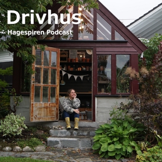 08/24: Drivhus med Helene Moe Slinning