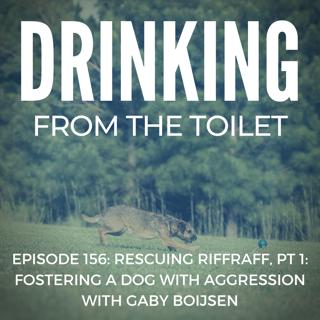 #155: Spring Clean up for Dog Trainers, Pt 1: Organizing and Applying Your Hoard of Resources