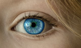 337. Diabetic Retinopathy