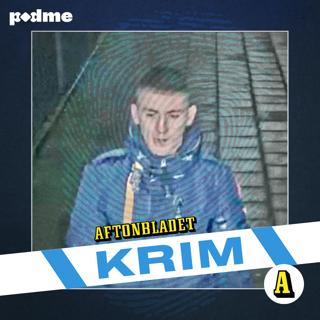 Häktningen av Mikael "Greken" Tenezos