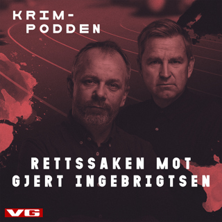 Ingebrigtsen-rettssaken (16): Hvorfor så mange vitner?
