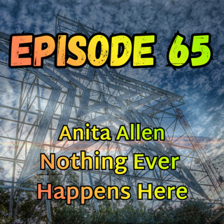 Anita Allen: Nothing Ever Happens Here