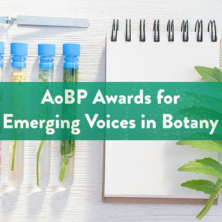 The AoBP Awards for Emerging Voices in Botany