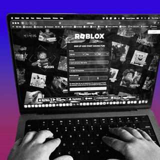 Why He Sued Roblox