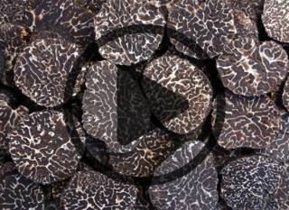 What's the Deal with Truffles?