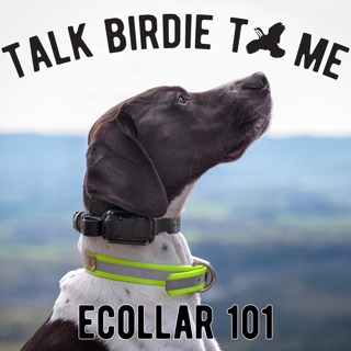 16 | Ecollar Discussion - What, Why and How