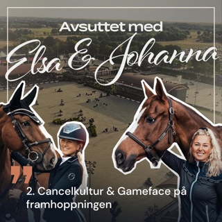 2. Cancelkultur & Gameface på framhoppningen