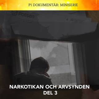 Narkotikan och arvsynden – familjen och medberoendet | Del 3/3