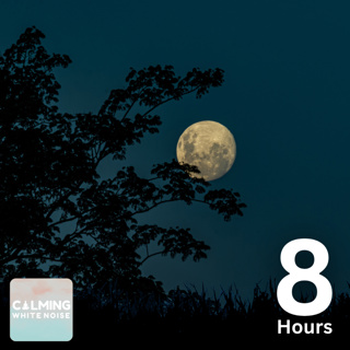 Crickets Chirping by the Stream | Peaceful Nature Sounds for Sleep and Relaxation
