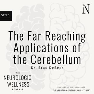 The Far Reaching Applications of the Cerebellum