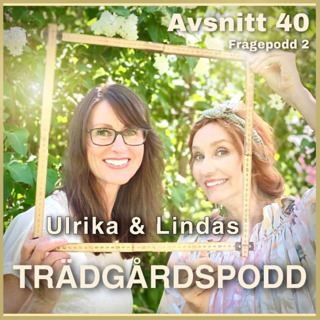 Avsnitt 40 - Frågepodd 2