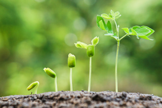 Ep. 132 Teaching Sustainability