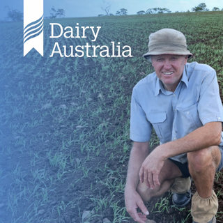 Fall Armyworm: Risks and management